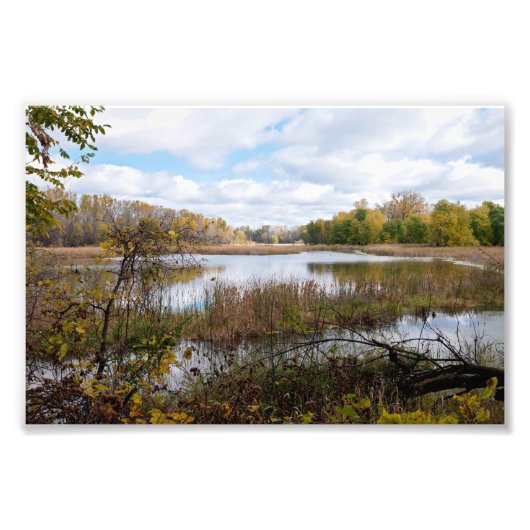 Sümpfe und Wälder der Zuflucht in Eagan Fotodruck (Vorne)