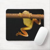 Sumpffrosch (Limnonectes Leytensis) Mousepad (Mit Mouse)