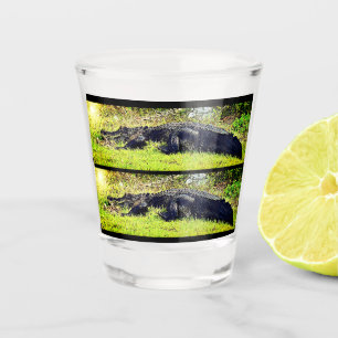 Sumpfgebiet-AlligatorSchnapsglas Schnapsglas
