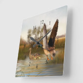 Sumpfgebiet duckt im Flug quadratisches Quadratische Wanduhr (Winkel)