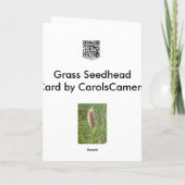 Sumpfgebiet-Gras Seedhead Anmerkungs-Karte Karte (Rückseite)