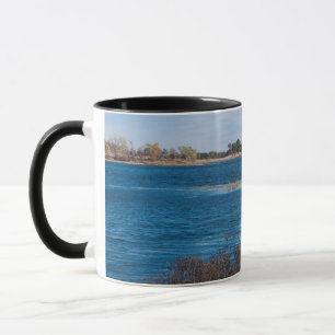 Sumpfgebiet im Necedah-Schutzgebiet Tasse