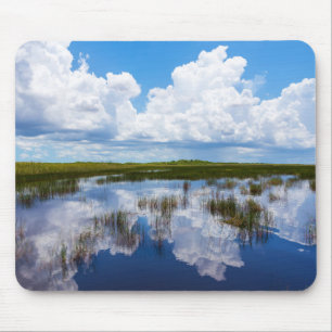 Sumpfgebiet-natürliche Landschaft Mousepad
