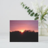 Sumpfgebiet-Sonnenuntergang über den Bäumen Postkarte (Stehend Vorderseite)