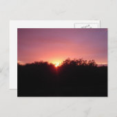 Sumpfgebiet-Sonnenuntergang über den Bäumen Postkarte (Vorne/Hinten)
