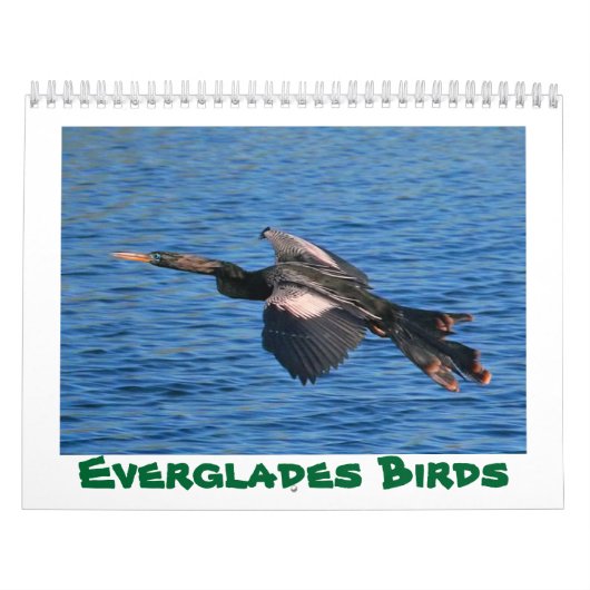 Sumpfgebiet-Vogel-Kalender Kalender (Titelbild)