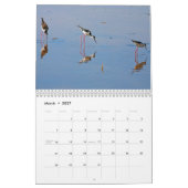Sumpfgebiet-Vogel-Kalender Kalender (Mär 2027)