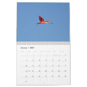 Sumpfgebiet-Vogel-Kalender Kalender (Jan 2027)
