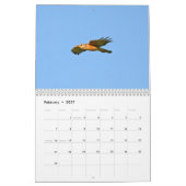 Sumpfgebiet-Vogel-Kalender Kalender (Feb 2027)