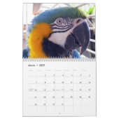Sumpfgebiet-Vorposten-Kalender Kalender (Mär 2027)