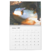 Sumpfgebiet-Vorposten-Kalender Kalender (Jan 2027)