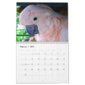 Sumpfgebiet-Vorposten-Kalender Kalender (Feb 2027)
