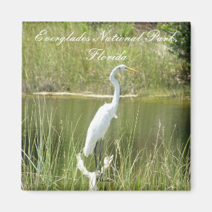 Sumpfgebiete Nationalpark, Florida Magnet