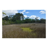 Sumpflandschaft Fotodruck (Vorne)