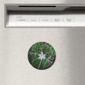 Sumpflilie Magnet (In Situ (Geschirrspüler))