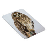 Sumpfohreule auf Zaunpfosten Magnet (Rechte Seite)