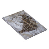 Sumpfohreule B11 im Schnee Notizblock (Rechte Seite)