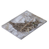 Sumpfohreule B11 im Schnee Notizblock (Linke Seite)