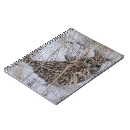 Sumpfohreule B11 im Schnee Notizblock (Linke Seite)