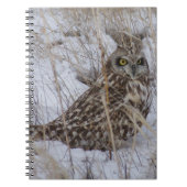 Sumpfohreule B11 im Schnee Notizblock (Vorderseite)