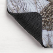 Sumpfohreule B11 Mousepad (Ecke)