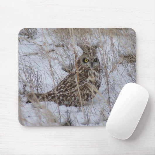 Sumpfohreule B11 Mousepad (Mit Mouse)