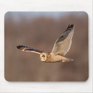 Sumpfohreule im Flug Mousepad