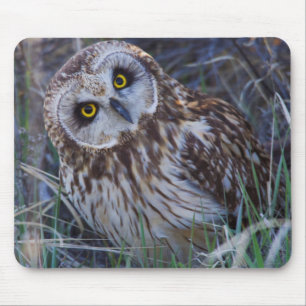 Sumpfohreule Mousepad