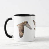 Sumpfohreule Tasse (Links)