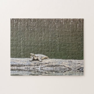Sumpfschildkröten-Puzzle Puzzle