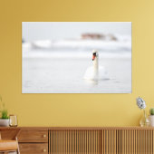 Sumpfschwäne schwimmen in Eiswasser Leinwanddruck (Insitu (Wohnzimmer))