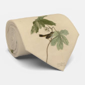 Sumpfspange von Audubons Vögeln Amerikas Krawatte (Gerollt)