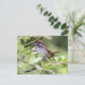 Sumpfsperre Postkarte (Stehend Vorderseite)