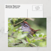 Sumpfsperre Postkarte (Vorne/Hinten)