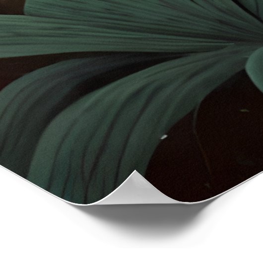 Sumpfwald Wild Tiger Vintage Poster (Ecke)