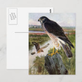 Sumpfweihe Postkarte (Vorne/Hinten)