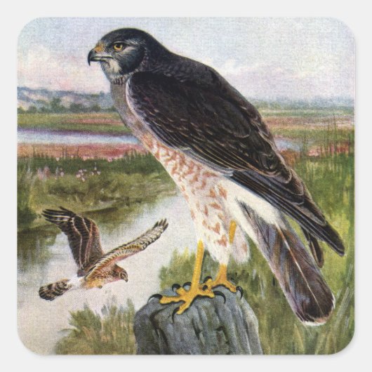 Sumpfweihe Quadratischer Aufkleber (Vorderseite)