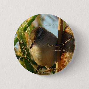 Sumpfzaunkönig B3 Button