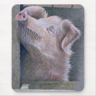 Sun-Anbetung Mousepad