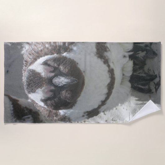 Sun Bade Penguin Beach Handtuch (Vorderseite)