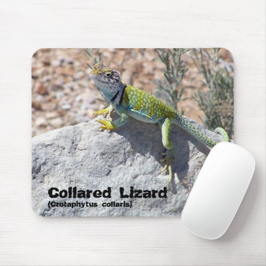 Sun-Baden-ergatterte Mousepad (Mit Mouse)