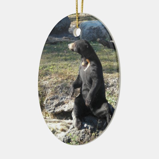 Sun-Bär am Zoo Keramikornament (Links)