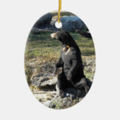 Sun-Bär am Zoo Keramikornament (Vorne)