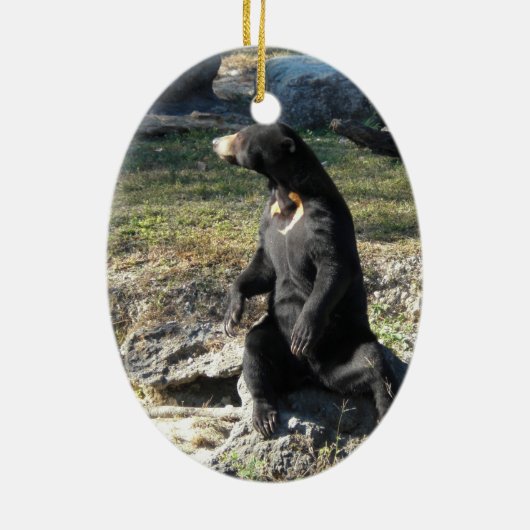 Sun-Bär am Zoo Keramikornament (Hinten)