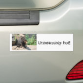 Sun-Bär Autoaufkleber (Auf Auto)