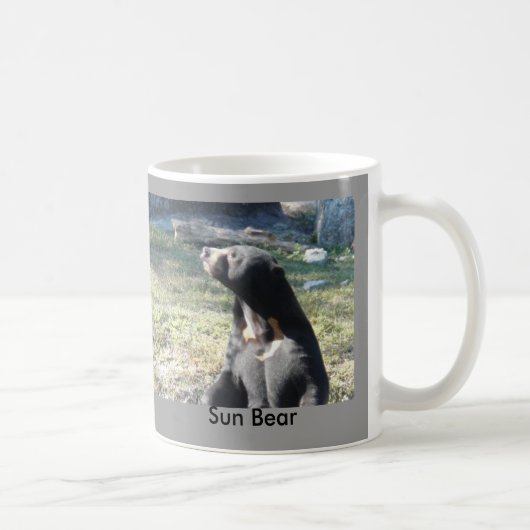 Sun-Bär Kaffeetasse (Rechts)