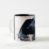 Sun-Bärn-Kaffeetasse Zweifarbige Tasse (Vorderseite Links)