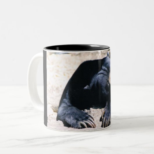 Sun-Bärn-Kaffeetasse Zweifarbige Tasse (Vorderseite Links)