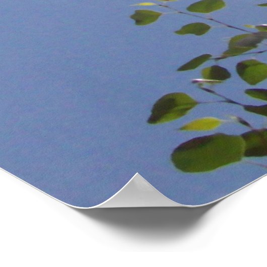 Sun Beam and Clouds Poster (Ecke)