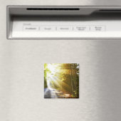 Sun Beams Through Forest in Acadia National Park Magnet (In Situ (Geschirrspüler))